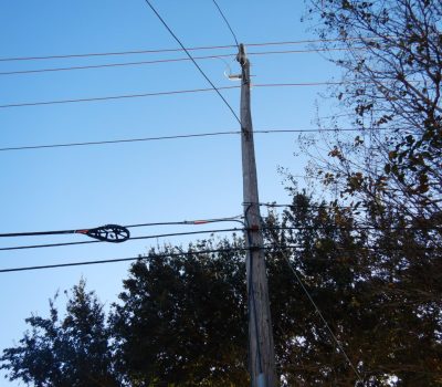 DSCN2624