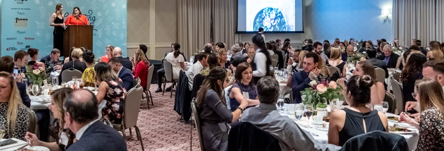 Vote for BBI – 2018 SMPS Houston Design Awards Gala